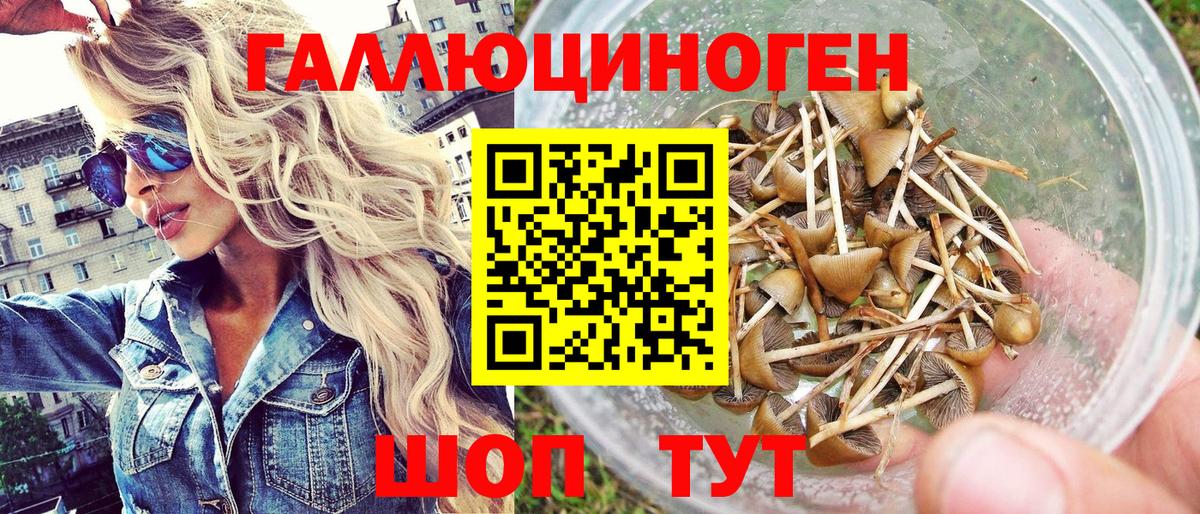 Псилоцибиновые грибы мицелий Янаул